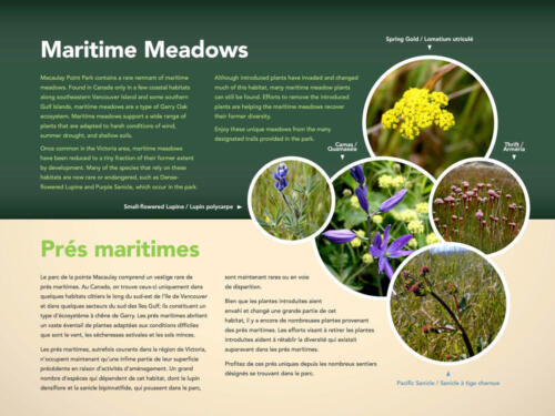 Maritime Meadows